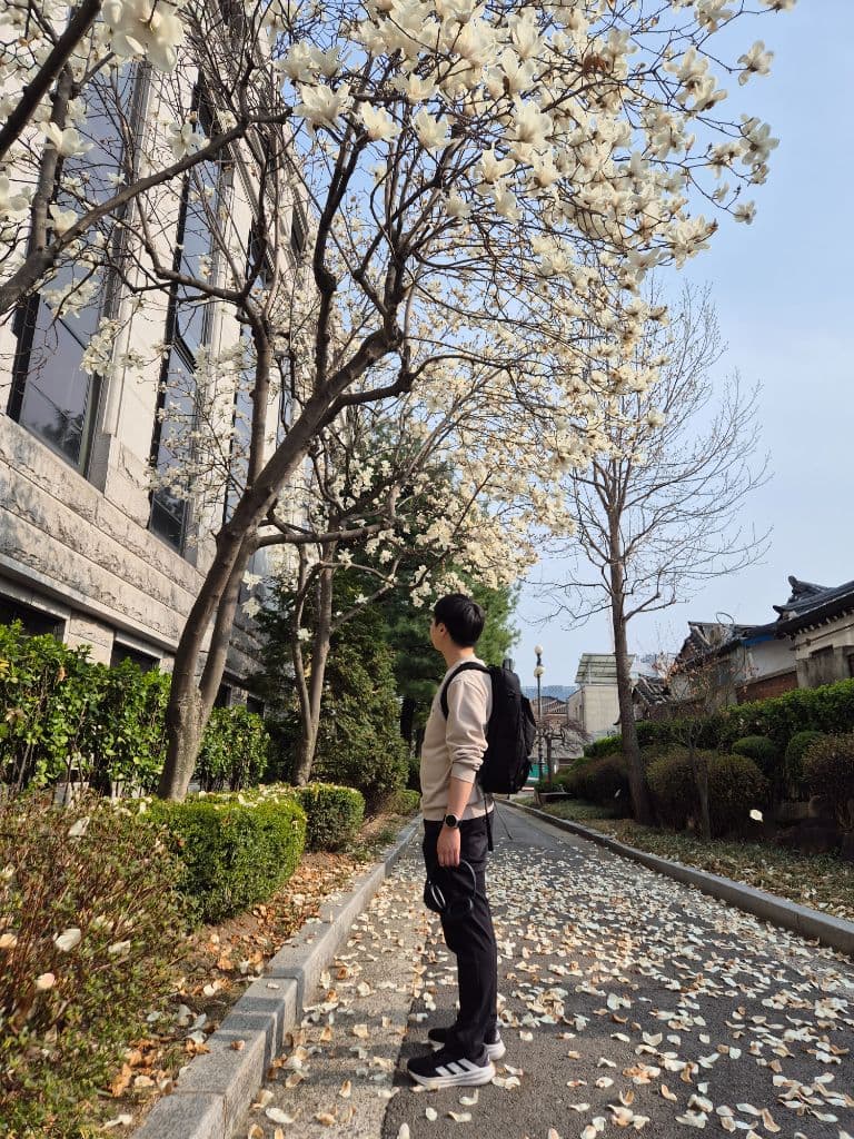 야옹이집사