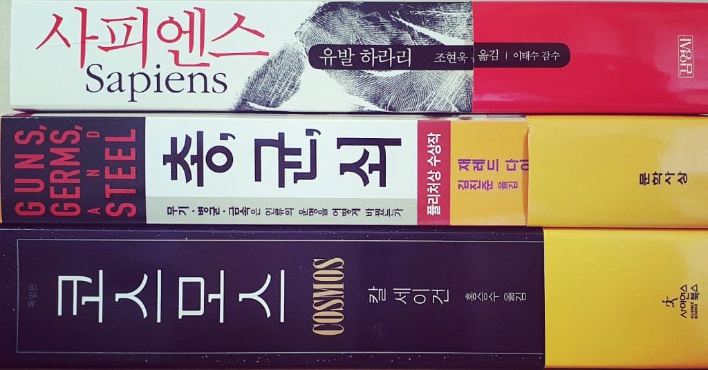 야옹선생집사